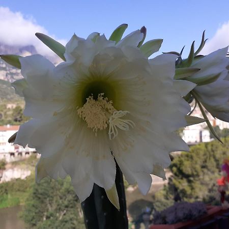 Piso Con Desayuno Incluido Y Vistas A La Montana. Apartment Monistrol de Montserrat ภายนอก รูปภาพ