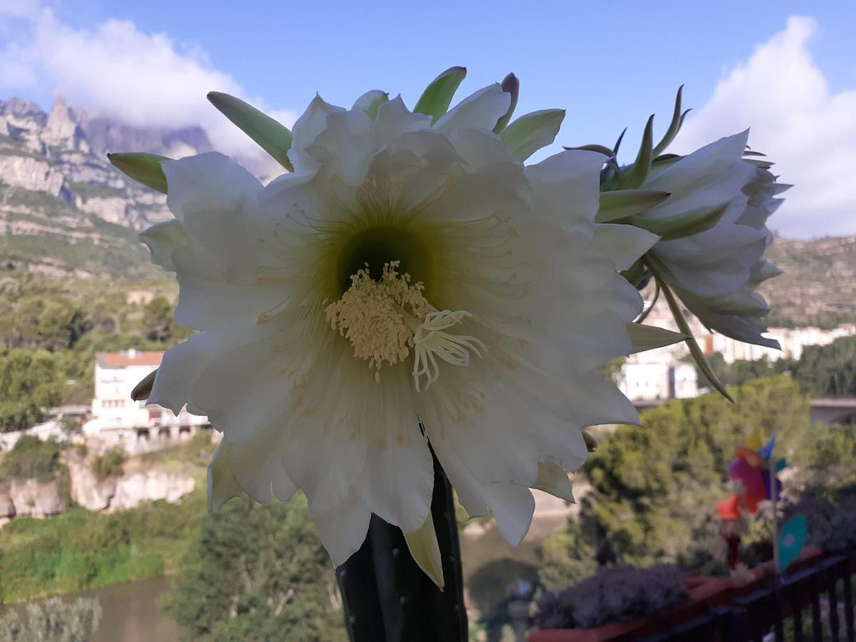 Piso Con Desayuno Incluido Y Vistas A La Montana. Apartment Monistrol de Montserrat ภายนอก รูปภาพ